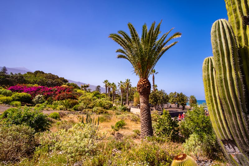 Gartenanlagen am Strand von Puerto de la Cruz - ©Guillermo Enrique - stock.adobe.com