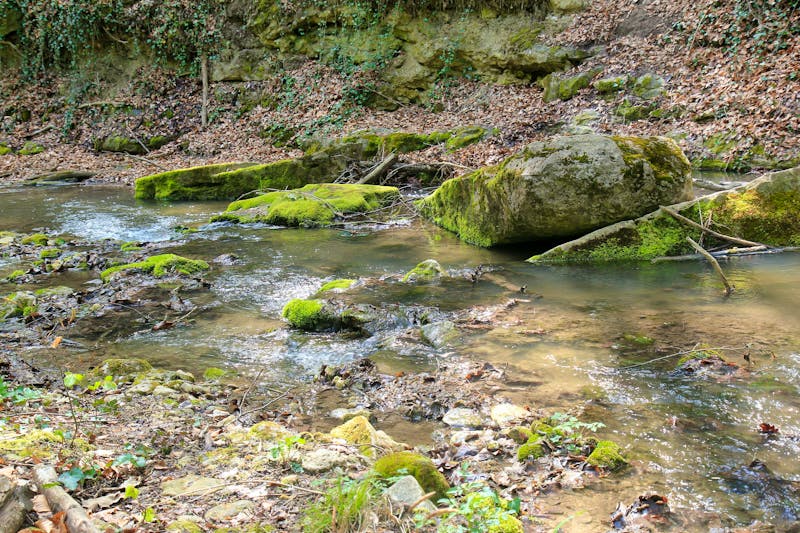 Fluss Batova - Baltata AdobeStock 500725541 - ©dinar12 - stock.adobe.com