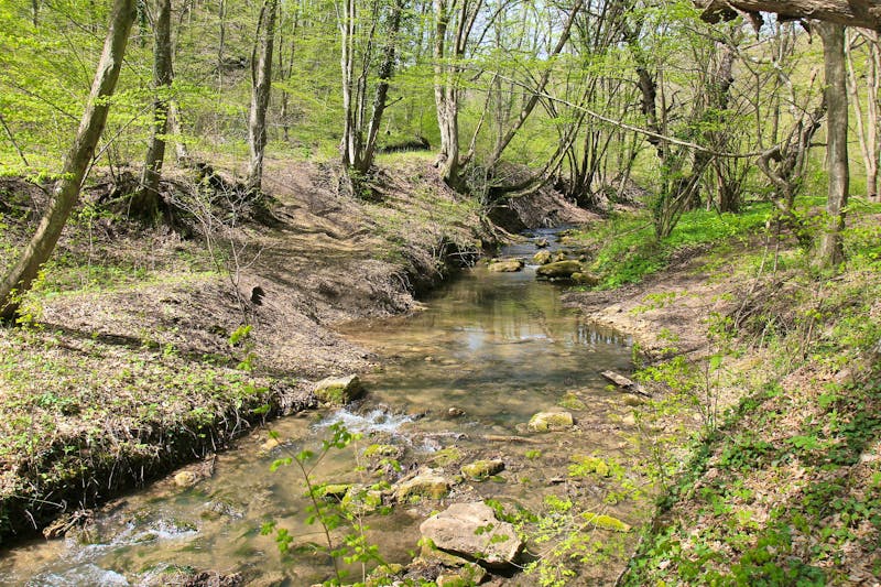 Fluss Batova - Baltata AdobeStock 500582916 - ©dinar12 - stock.adobe.com
