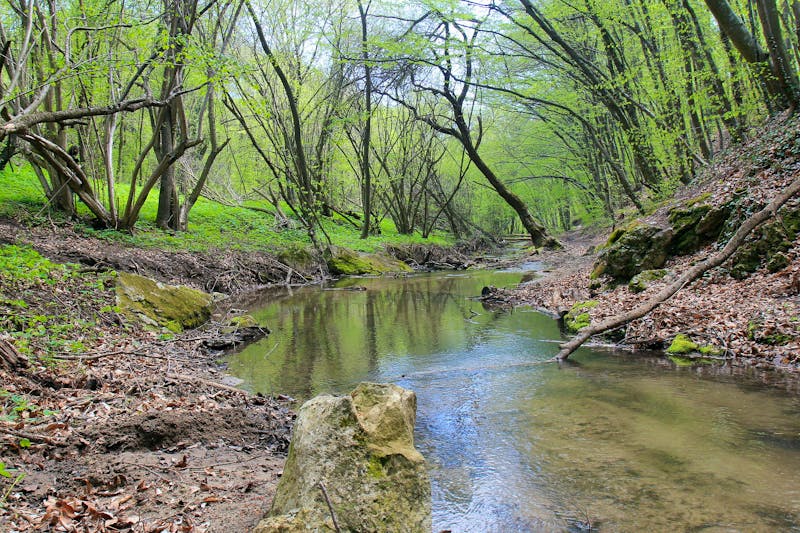 Fluss Batova - Baltata AdobeStock 500725538 - ©dinar12 - stock.adobe.com