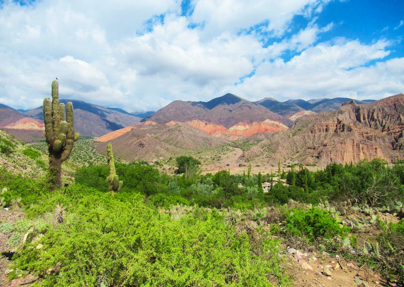 Hügel der Sieben Farben in Purmamarca - ©Sylvia Sann - Eberhardt TRAVEL