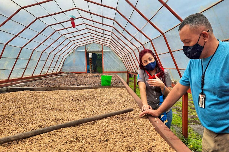 Besuch einer Kaffeeplantage in Costa Rica - ©Vivien Fiedler - Eberhardt TRAVEL