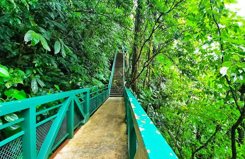 Spaziergang zum La Fortuna Wasserfall - ©Vivien Fiedler - Eberhardt TRAVEL