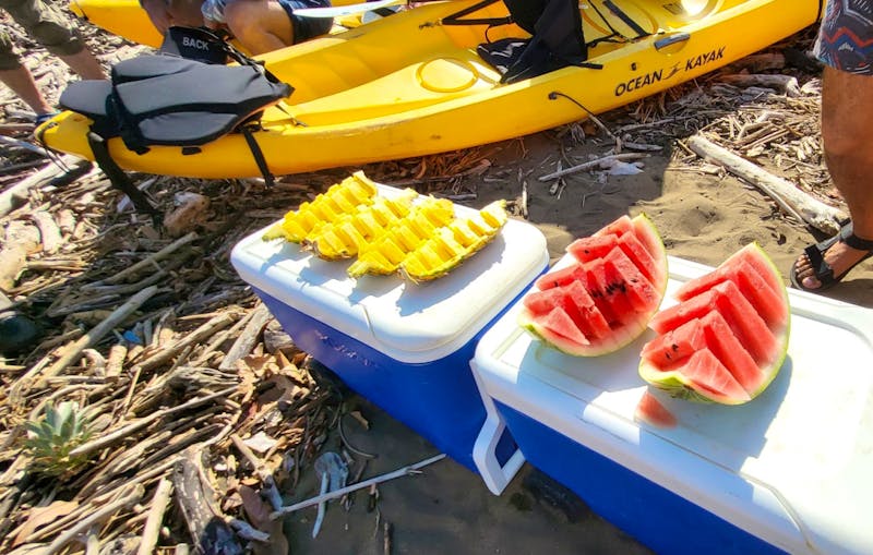 Picknick während der Kajaktour bei Samara - ©Susanne Schirmann - Eberhardt TRAVEL