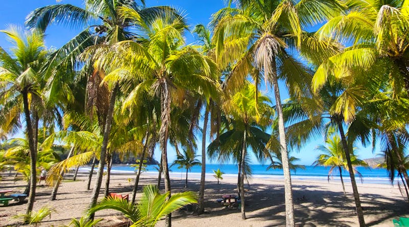 Playa Carillo bei Samara - ©Susanne Schirmann - Eberhardt TRAVEL