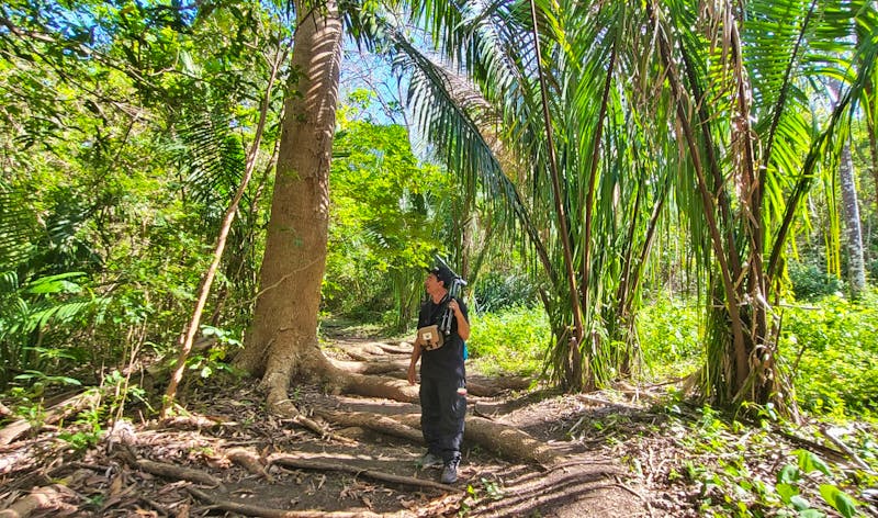 Nature Walk im Werner Sauter Biological Reserve - ©Susanne Schirmann - Eberhardt TRAVEL
