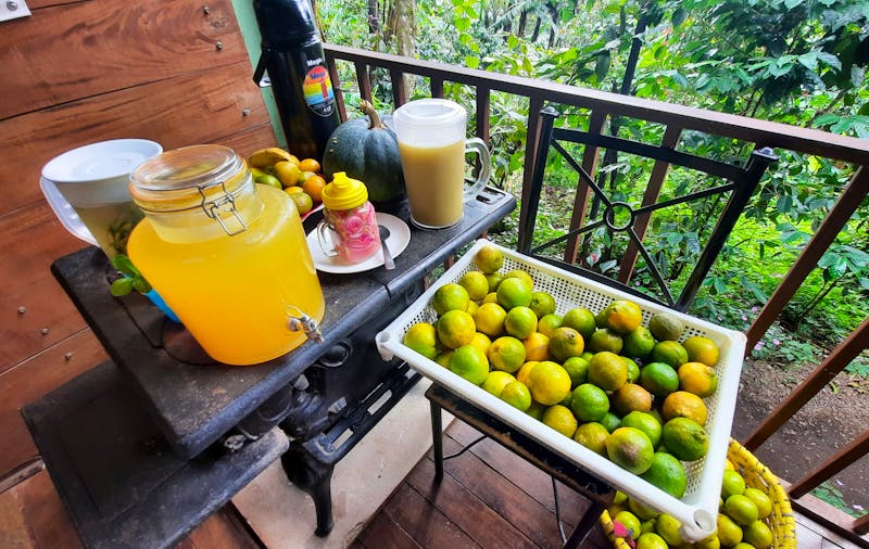 Zu Besuch auf der Finca Dona Hermida  - ©Vivien Fiedler - Eberhardt TRAVEL