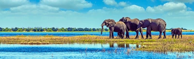 Botswana - &copy;Kushnirov Avraham - stock.adobe.com