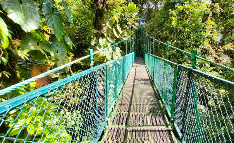 Hängebrückenwanderung in Monteverde - ©Susanne Schirmann - Eberhardt TRAVEL