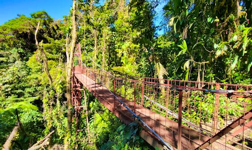 Rundreise Costa Rica in kleiner Gruppe - CR-LEGER &ndash; &copy; Susanne Schirmann - Eberhardt TRAVEL
