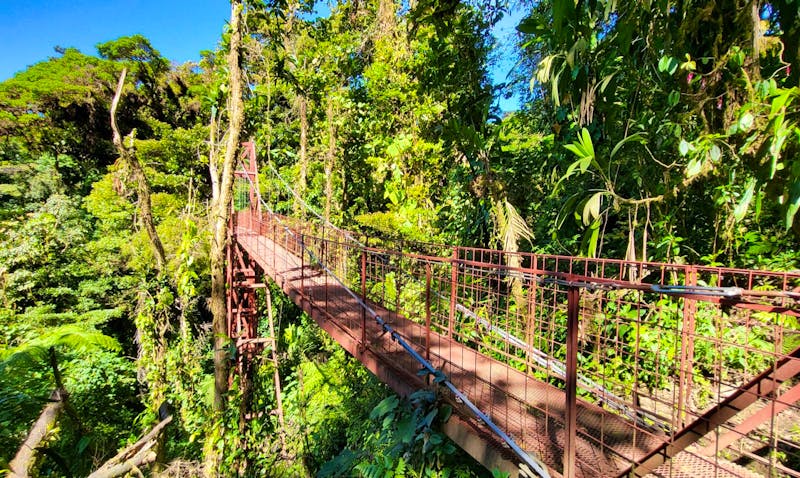 Rundreise Costa Rica in kleiner Gruppe - CR-LEGER - ©Susanne Schirmann - Eberhardt TRAVEL