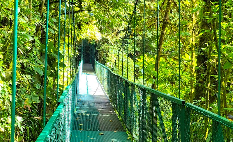 Rundreise Costa Rica in kleiner Gruppe - CR-LEGER - ©Susanne Schirmann - Eberhardt TRAVEL