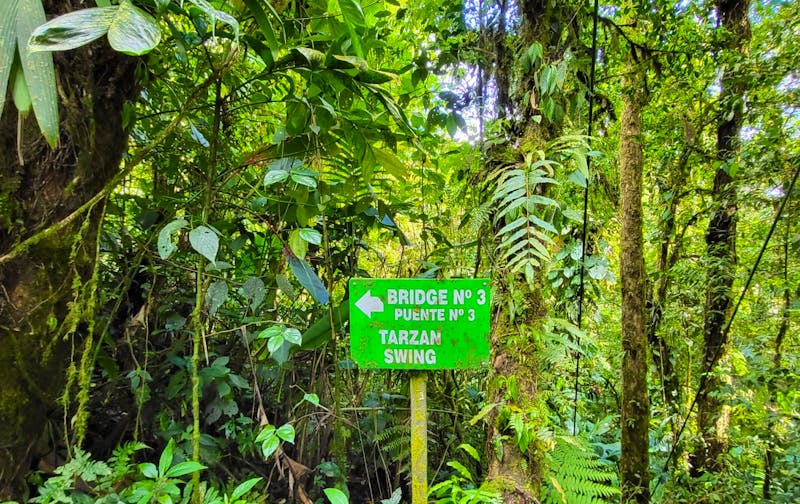 Unterwegs im Nebelwald von Monteverde 2 - ©Susanne Schirmann - Eberhardt TRAVEL