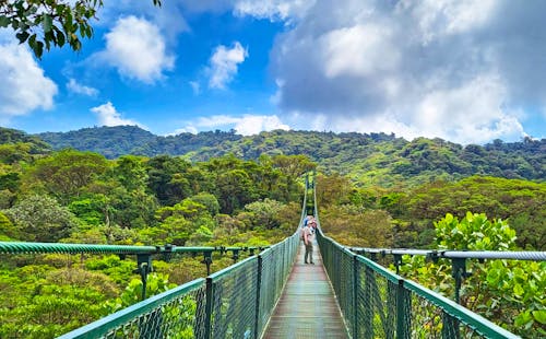 Hängebrückenwanderung in Monteverde &ndash; &copy; Susanne Schirmann - Eberhardt TRAVEL