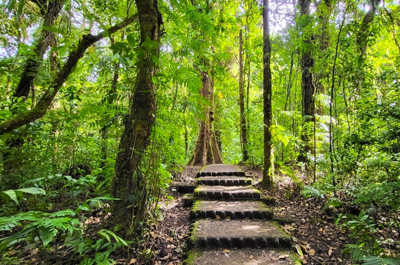 Rundreise Costa Rica in kleiner Gruppe - CR-LEGER - ©Susanne Schirmann - Eberhardt TRAVEL