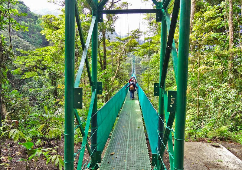 Sky Walk in Monteverde - ©Ralf Mehnert - Eberhardt TRAVEL