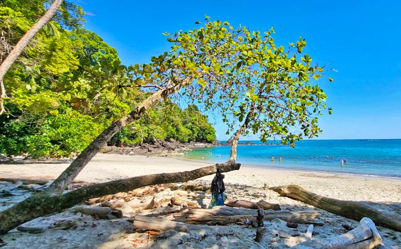 Badebucht im Manuel Antonio Nationalpark - ©Susanne Schirmann - Eberhardt TRAVEL