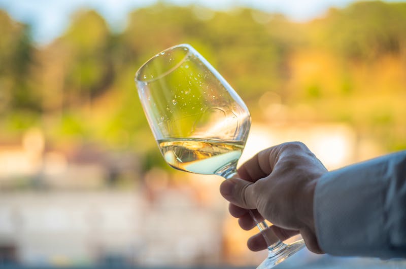 Weinverkostung in der Weinregion Rias Baixas - ©MalaikaCasal - stock.adobe.com