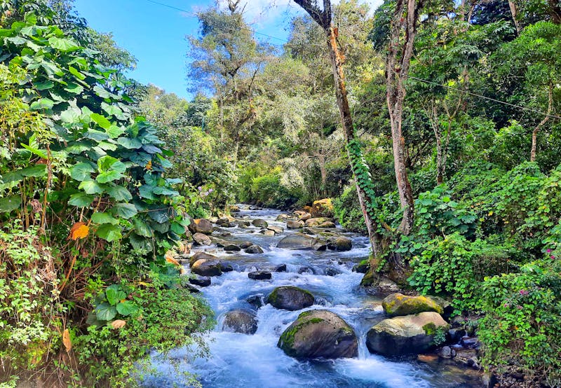 Wanderung im Savegre-Tal - San Gerardo de Dota - ©Vivien Fiedler - Eberhardt TRAVEL