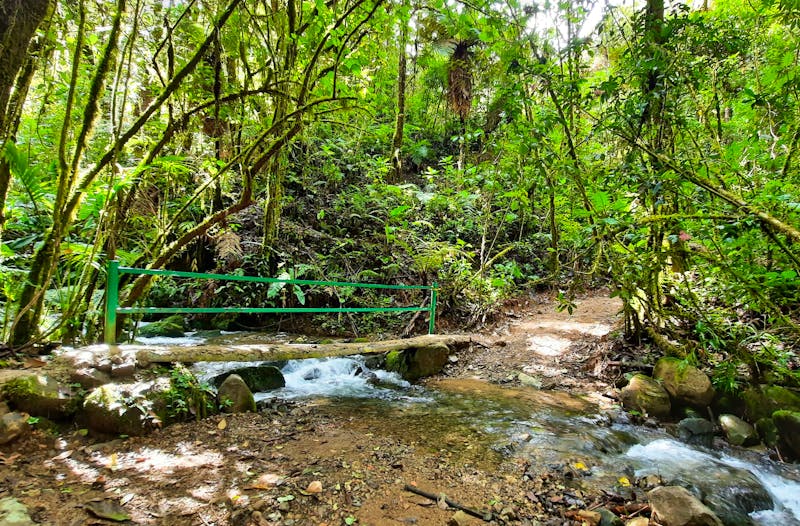 Wanderung bei San Gerardo de Dota - ©Vivien Fiedler - Eberhardt TRAVEL