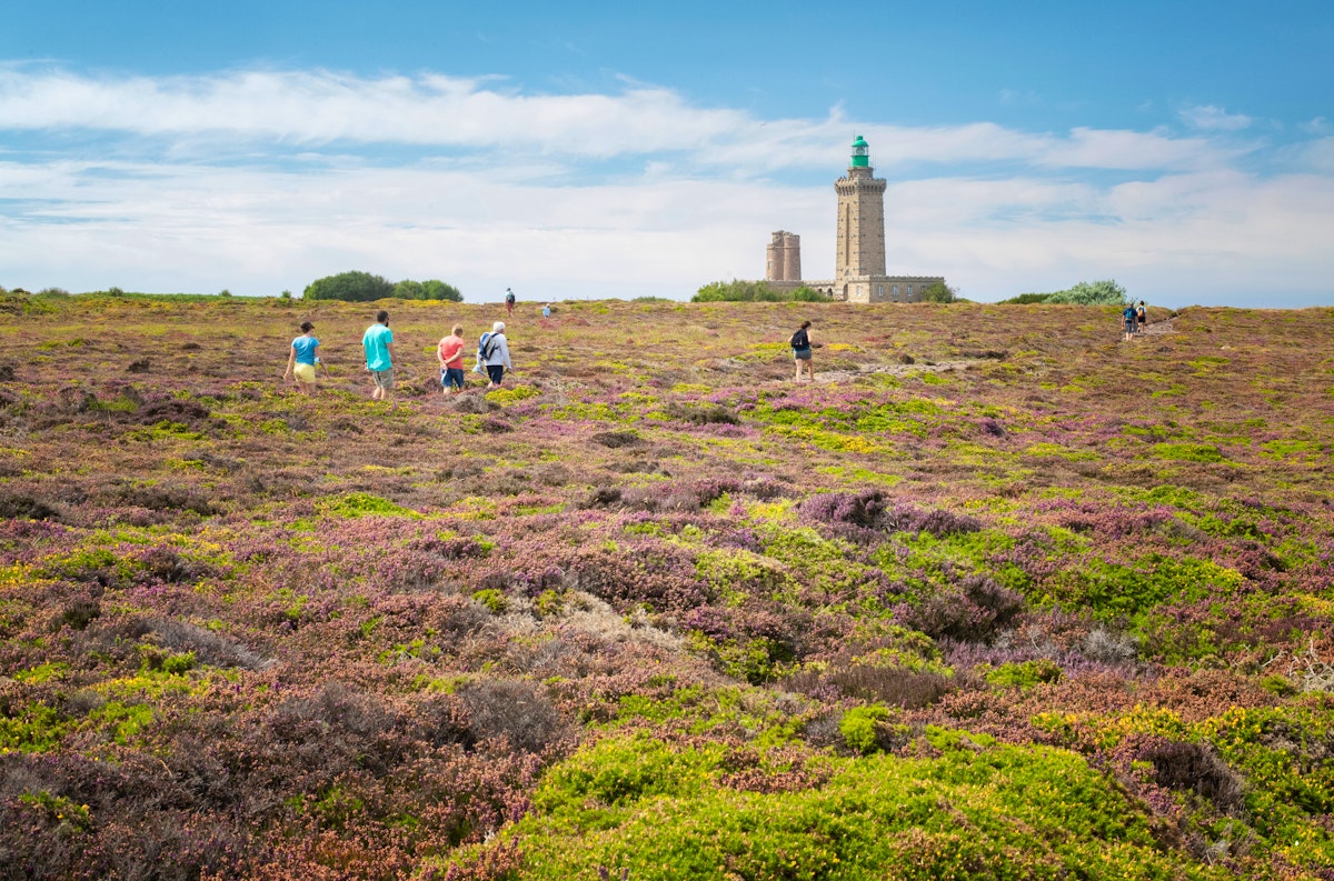 Singlereise Frankreich - Normandie und Bretagne :: Saison 2026 ...