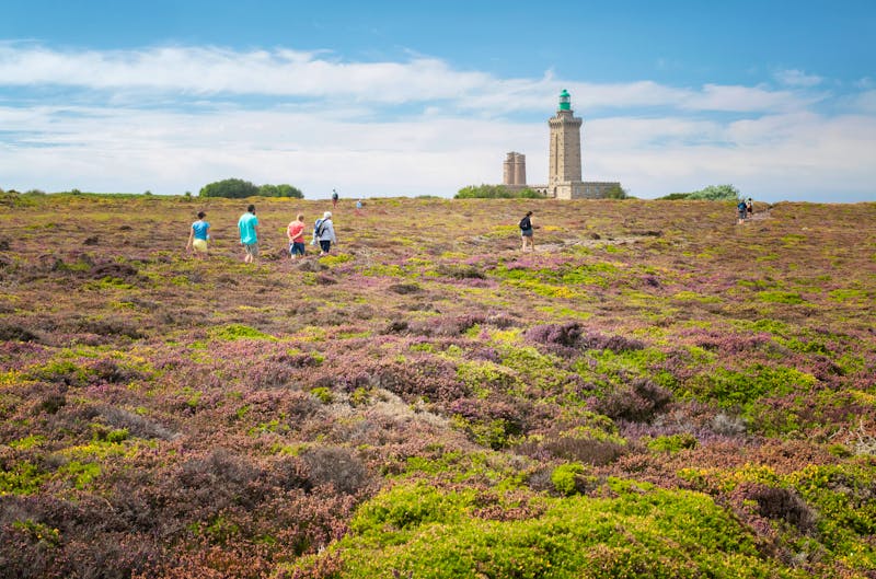 Spaziergang am Cap Frehel in der Bretagne - ©phildu56 - stock.adobe.com