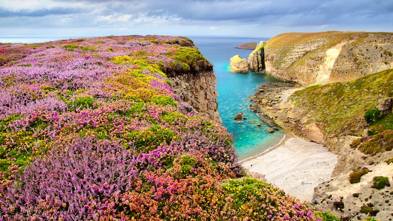 Cap Frehel in der Bretagne - ©Marina Ignatova - stock.adobe.com