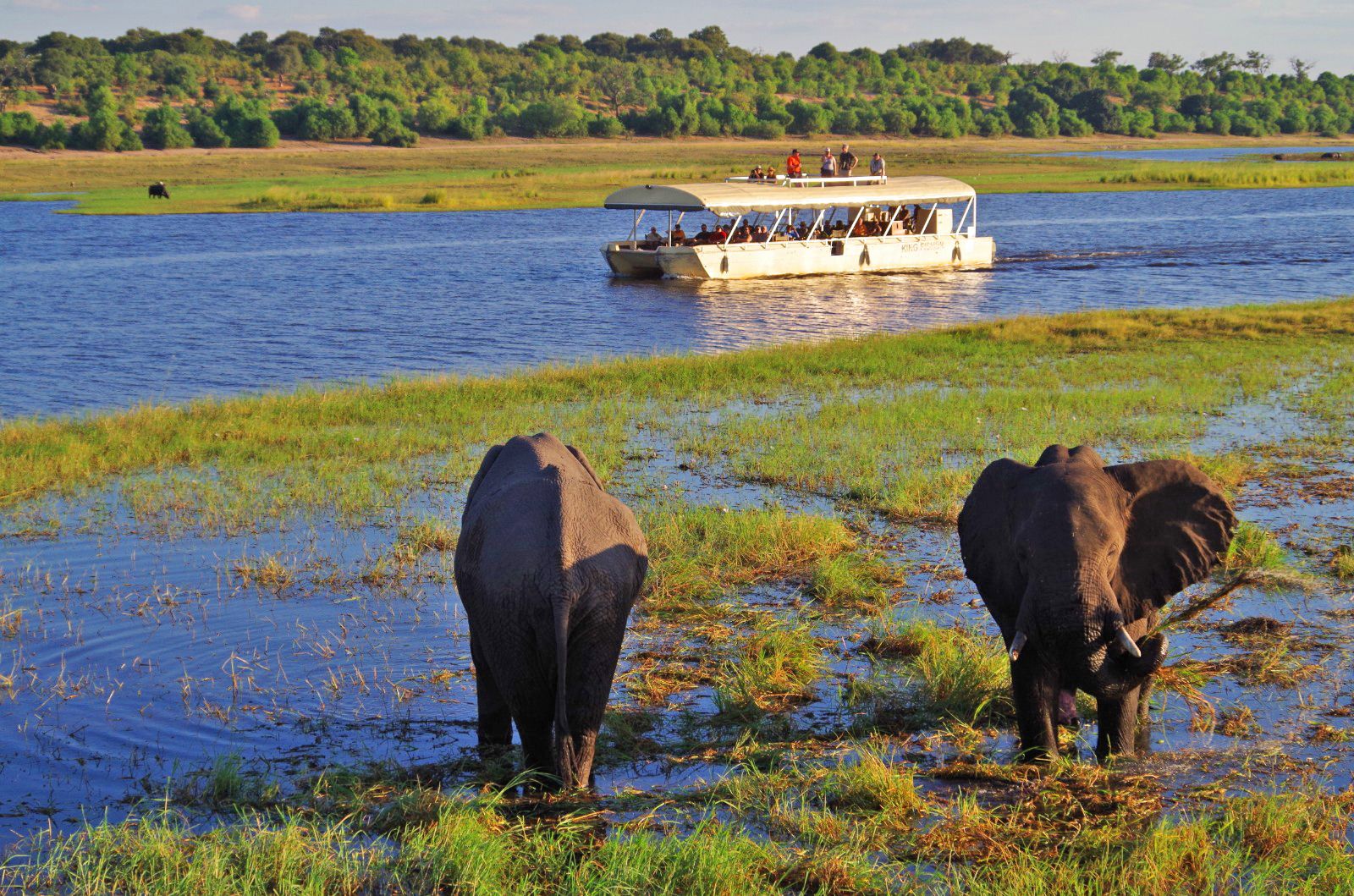 Bootsfahrt auf dem Chobe in Botswana