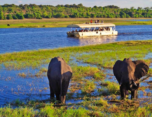 Bootsfahrt auf dem Chobe – © Annett Müller - Eberhardt TRAVEL