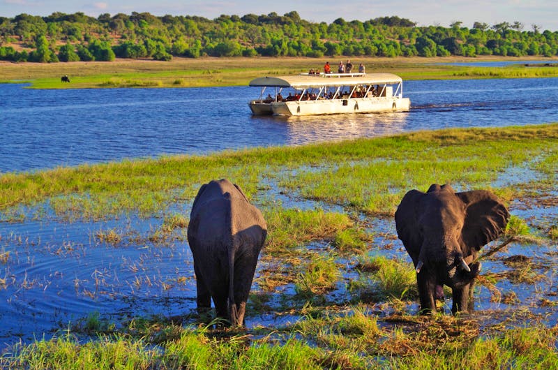 Bootsfahrt auf dem Chobe - ©Annett Müller - Eberhardt TRAVEL