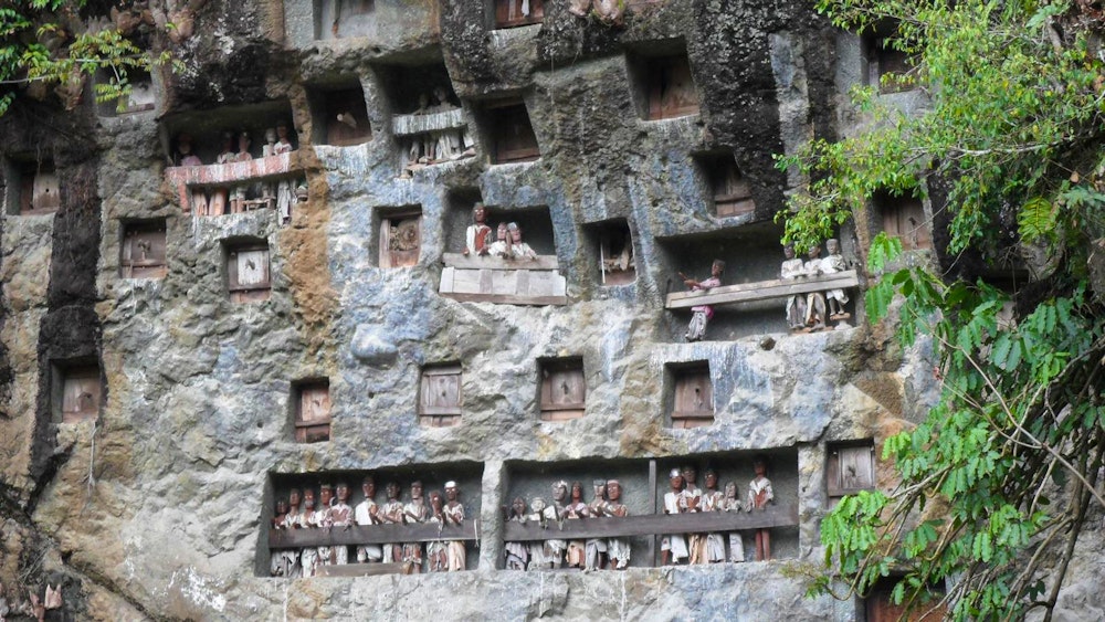 Lemo Sulawesi Ahnenwand – © Dr. Michael Krause