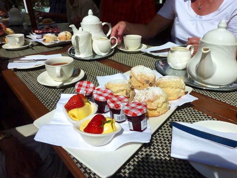 Cream Tea und Scones - ©Kristin Weigel