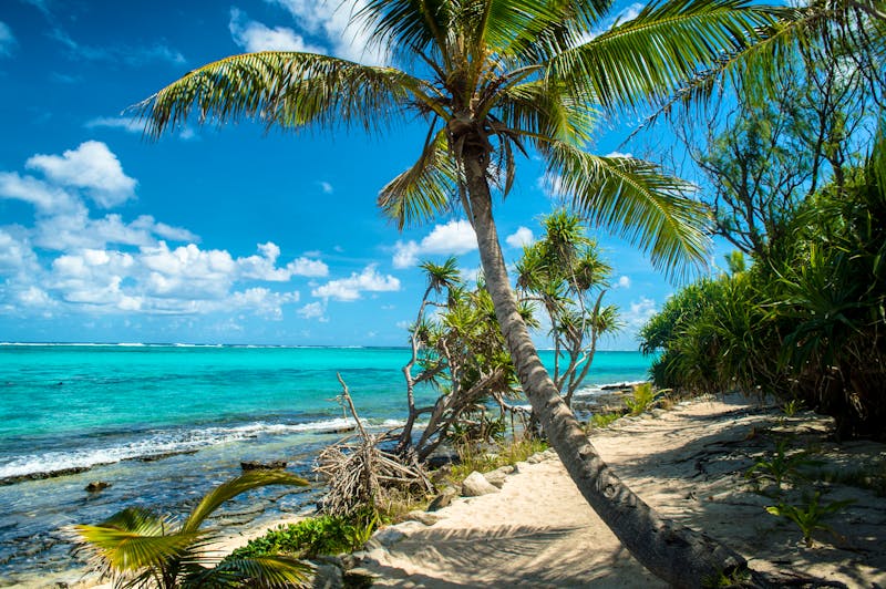 Mystery Island - Vanuatu im Südpazifik - &copy;cc - stock.adobe.com