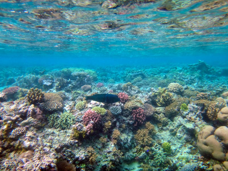 Mystery Island - Vanuatu im Südpazifik - &copy;lifeofriley - stock.adobe.com