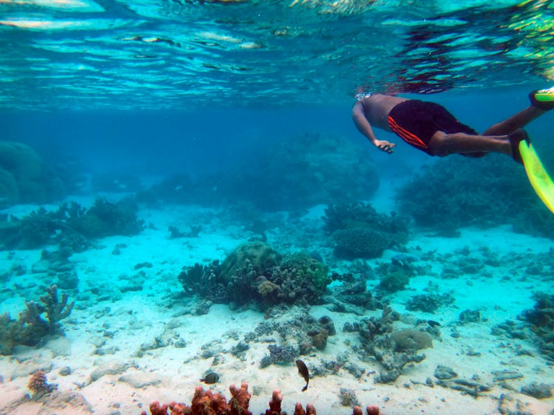 Schnorcheln bei Mystery Island vor Aneityum – Vanuatu im Südpazifik - &copy;lifeofriley - stock.adobe.com