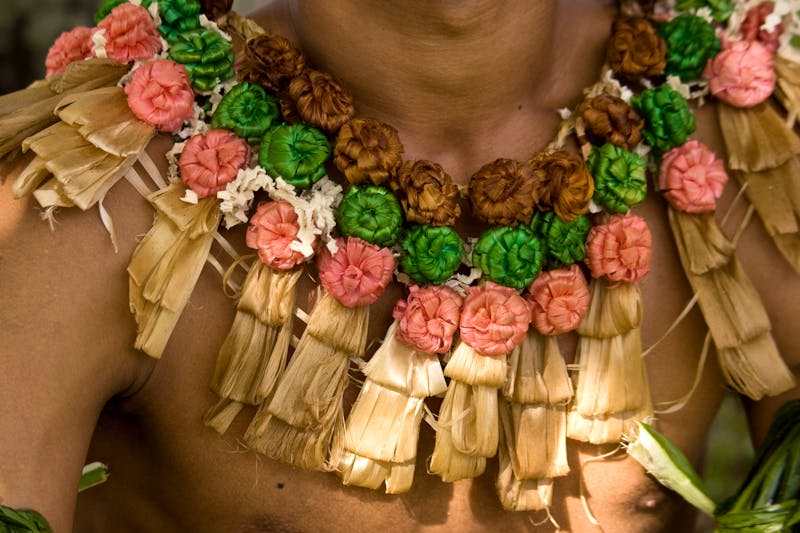 Insel Viti Levu - Fidschi   - ©Wendy Kaveney, Jaynes Gallery DanitaDelimont.com
