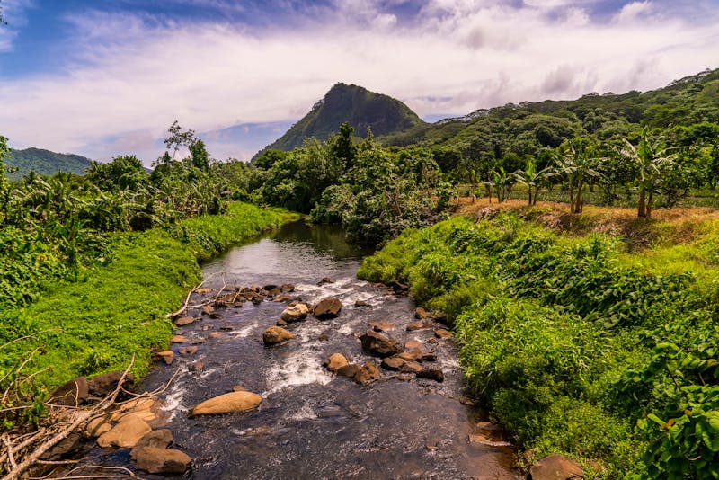 Raiatea Island - Französisch Polynesien - ©Blogtrip blog de viajes- Aristofennes - stock.adobe.com