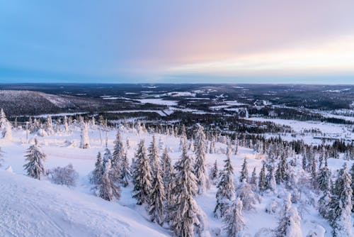 Ausblick auf WInterlandschaft von Iso-Syöte Lappland Finnland  &ndash; &copy; Hofschulz Schoppa Photography
