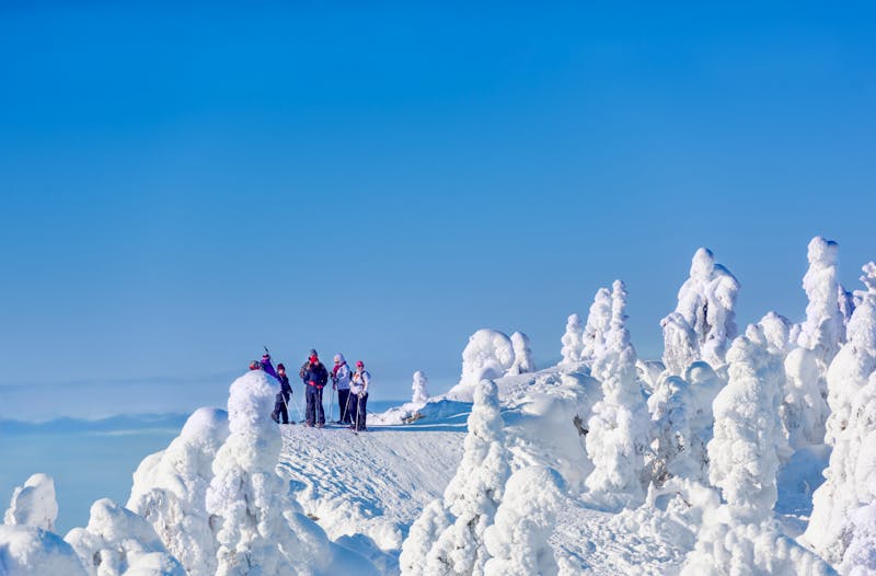 Eine Gruppe Wanderer genießt eine wunderschöne Winterlandschaft im - ©Juha Saastamoinen - stock.adobe.