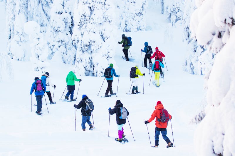 Schneeschuhwanderung - ©adamikarl - stock.adobe.com