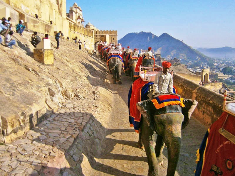 Elefanten am Amber Fort in Jaipur - ©Mandy Lehmann - Eberhardt TRAVEL