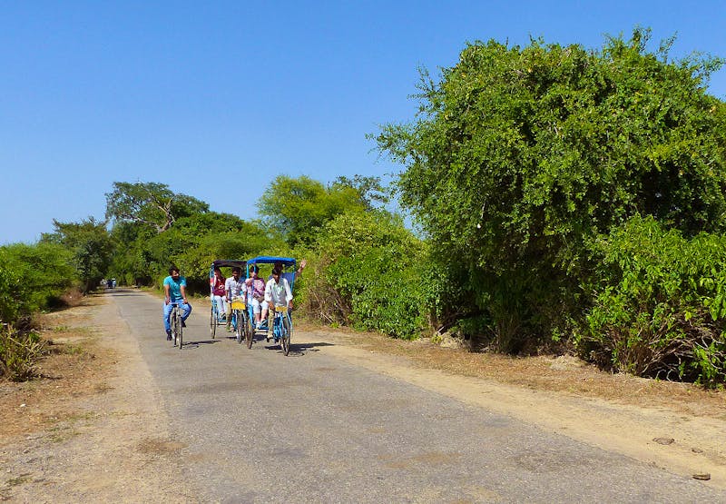 Rikscha-Tour im Keoladeo-Nationalpark - Rajasthan - ©Maria Michel - Eberhardt TRAVEL