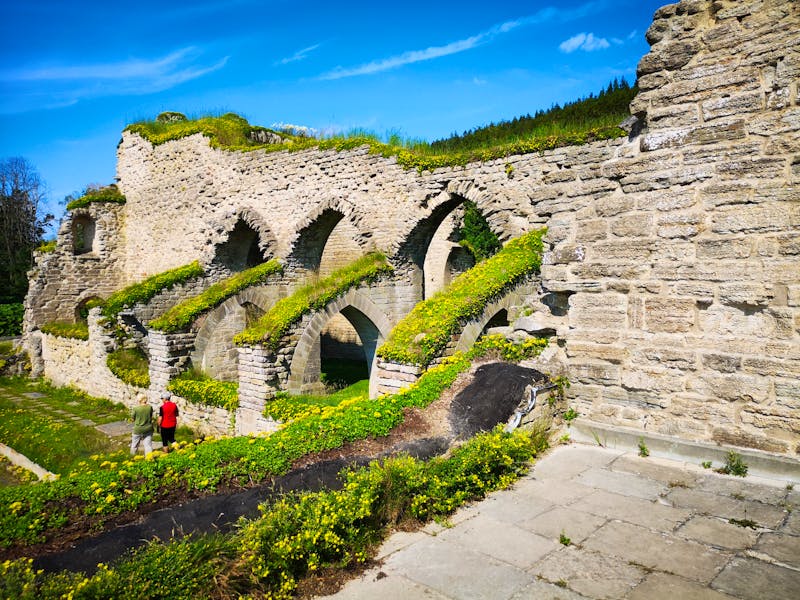 Ruinen des Klosters Alvastra in Schweden - ©Armin Harsdorff - Eberhardt TRAVEL
