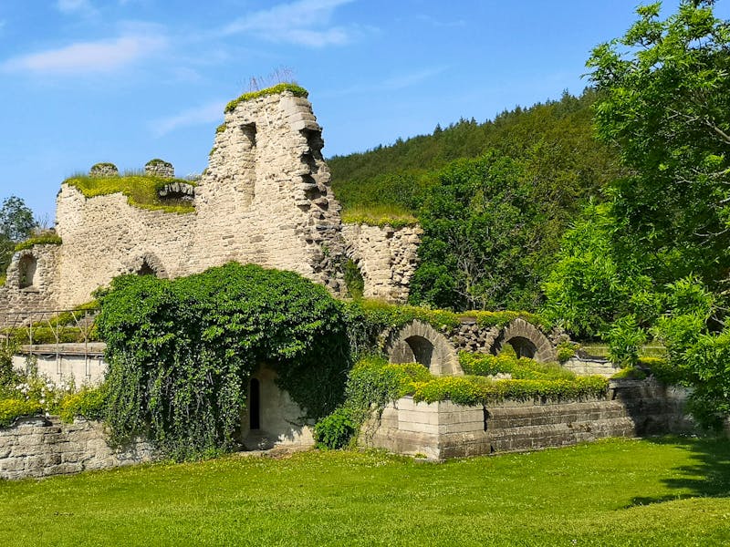 Ruinen des Klosters Alvastra in Schweden - ©Armin Harsdorff - Eberhardt TRAVEL