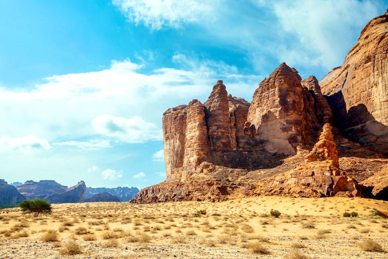 Jabal Ikmah im Al Ula-Tal - Sandsteinklippen mit antiken Felsinschriften  - ©vadim.nefedov - stock.adobe.com