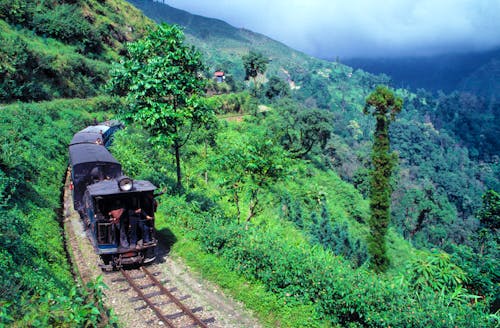 The Darjeeling Himalayan Railway - Toy Train Schmalspurbahn im Himalaya &ndash; &copy; © Ric Ergenbright / DanitaDelimont.com