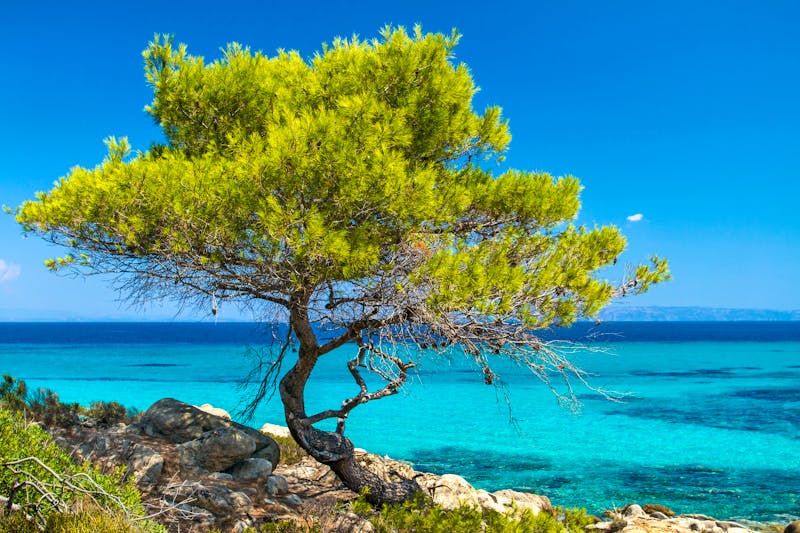 Chalkidiki - ©Mazur Travel - stock.adobe.com