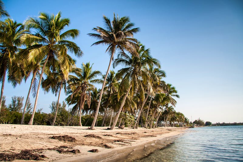 Playa Larga - Strand, Kuba   - ©jiduha - stock.adobe.com