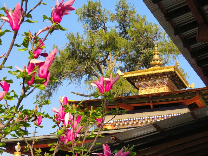 Kloster Kyichu Lhakhang Dzong in Paro - ©Ngoc Anh Nguyen (Eberhardt TRAVEL)
