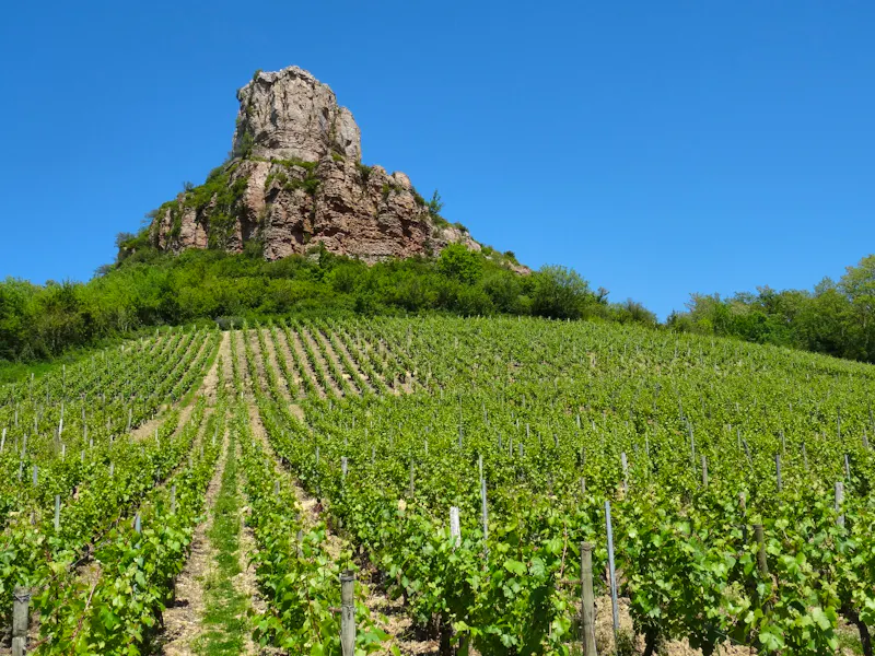 Weinberge bei Macon in Frankreich - &copy;Hans-Joachim Trutz - Eberhardt TRAVEL